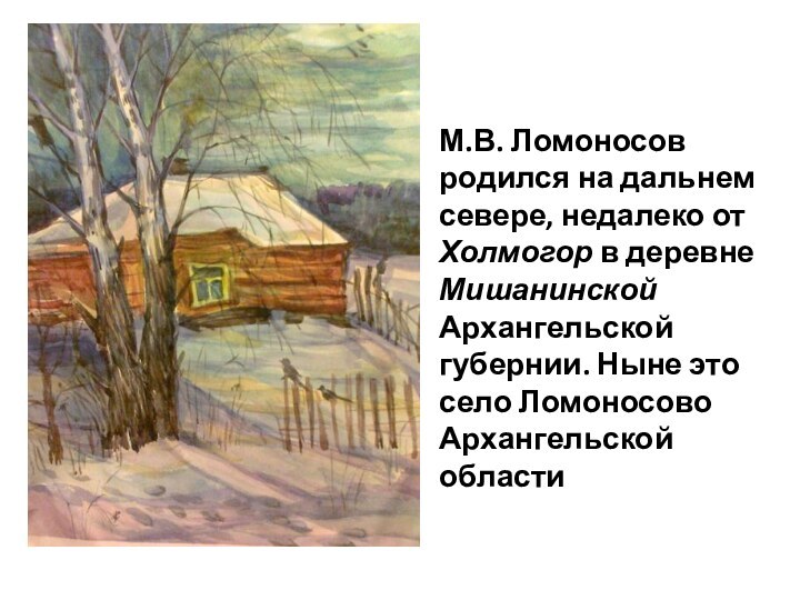 М.В. Ломоносов родился на дальнем севере, недалеко от Холмогор в деревне