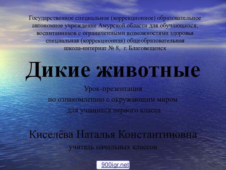 Государственное специальное (коррекционное) образовательное  автономное учреждение Амурской области для обучающихся,