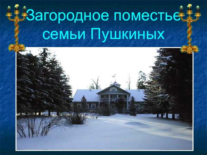 Загородное поместье семьи Пушкиных