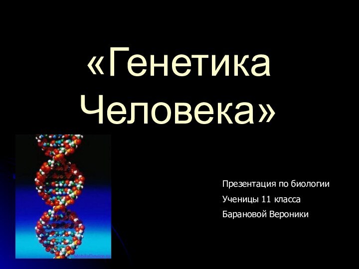 «Генетика Человека»Презентация по биологииУченицы 11 классаБарановой Вероники