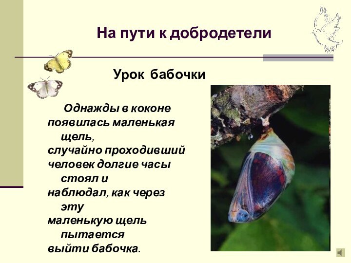 На пути к добродетелиОднажды в коконепоявилась маленькая щель,случайно проходившийчеловек долгие часы стоял