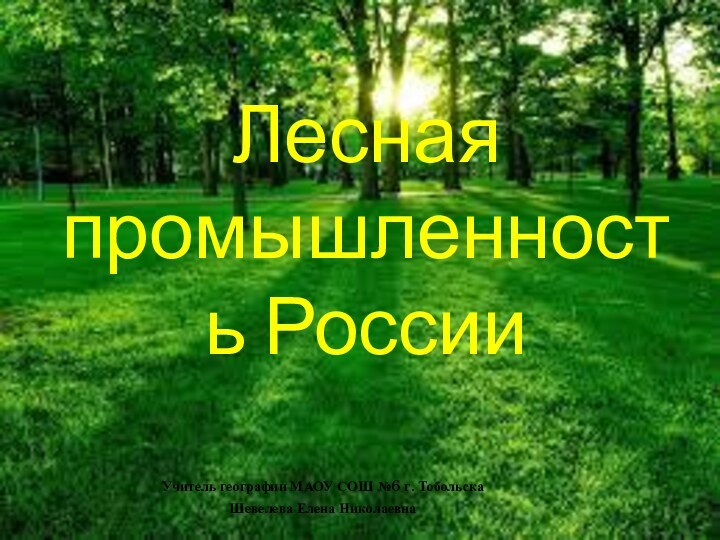 Учитель географии МАОУ СОШ №6 г. Тобольска Шевелева Елена НиколаевнаЛесная промышленность России