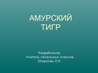 Амурский тигр 4 класс