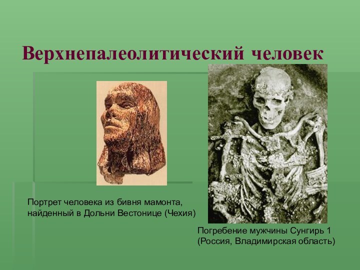 Верхнепалеолитический человек Погребение мужчины Сунгирь 1 (Россия, Владимирская область) Портрет человека из