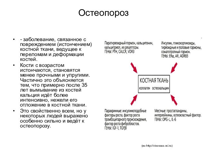 Остеопороз- заболевание, связанное с повреждением (истончением) костной ткани, ведущее к переломам и