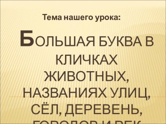 Большая буква в кличках животных, названиях улиц, сёл, деревень, городов и рек