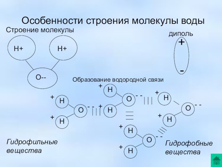 Особенности строения молекулы водыГидрофильные веществаГидрофобныевещества