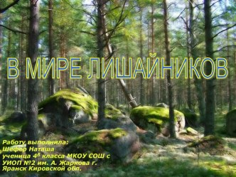 В мире лишайников