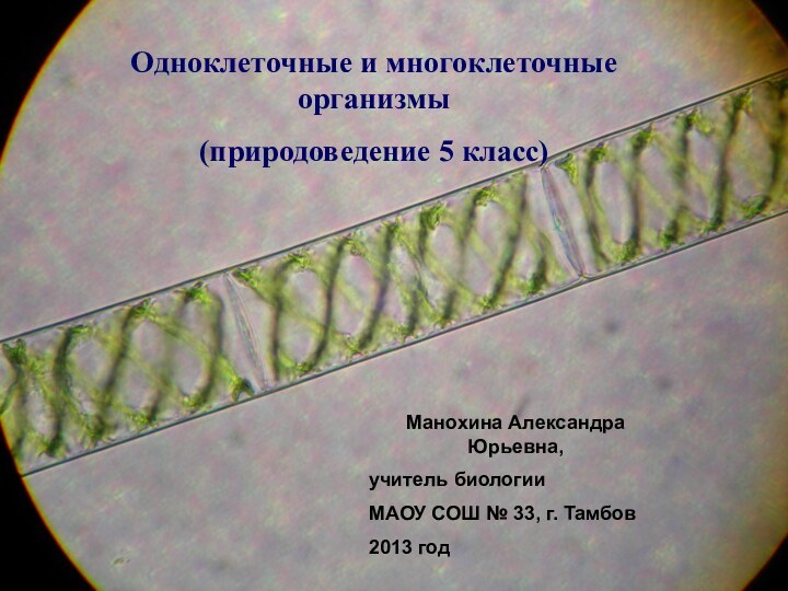 Одноклеточные и многоклеточные организмы(природоведение 5 класс)Манохина Александра Юрьевна, учитель биологииМАОУ СОШ № 33, г. Тамбов2013 год