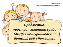 Предметно-пространственная среда МБДОУ Кошурниковский детский сад Ромашка