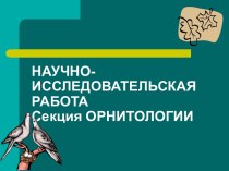 Научно-исследовательская работа Секция Орнитологии