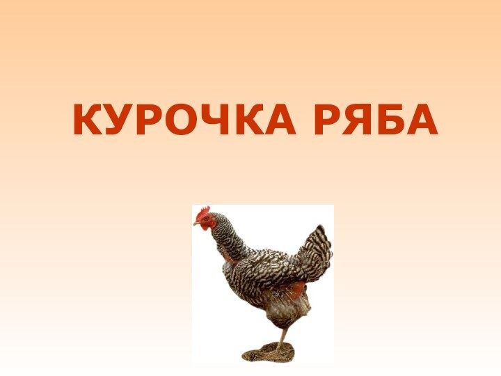 КУРОЧКА РЯБА