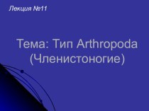 Arthropoda