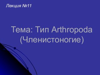 Arthropoda