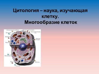 Цитология – наука, изучающая клетку. Многообразие клеток