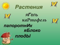 Растения