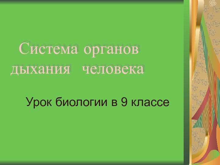 Система органов дыхания человекаУрок биологии в 9 классе