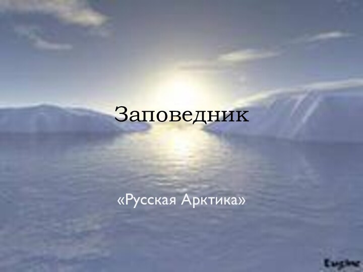 Заповедник«Русская Арктика»