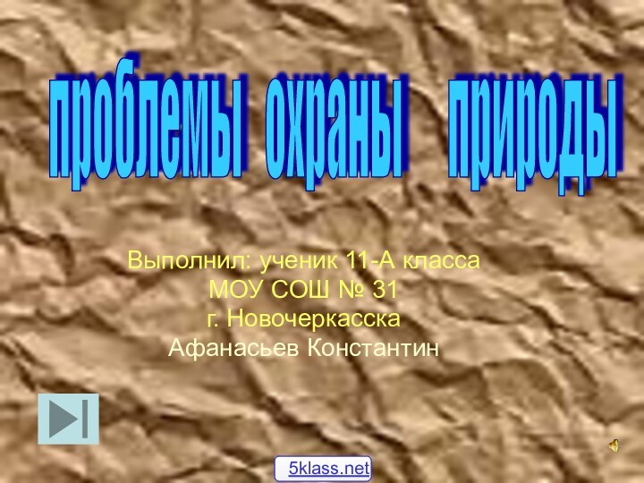 Выполнил: ученик 11-А классаМОУ СОШ № 31г. НовочеркасскаАфанасьев Константинпроблемы  охраны   природы