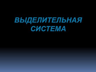 Выделительная система