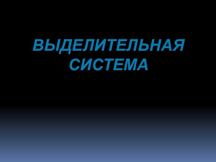 ВЫДЕЛИТЕЛЬНАЯ СИСТЕМА