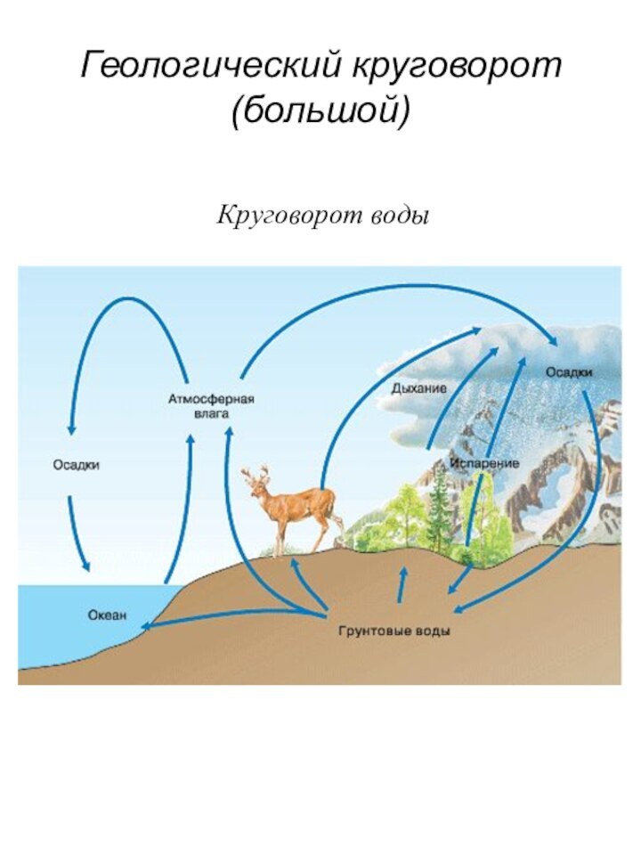 Геологический круговорот (большой)Круговорот воды