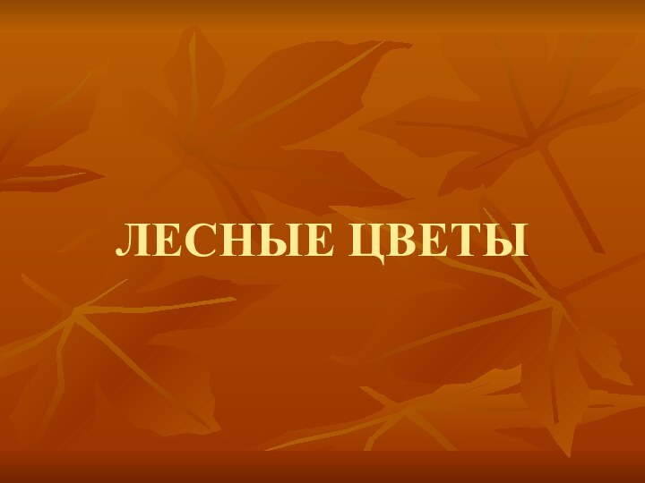 ЛЕСНЫЕ ЦВЕТЫ