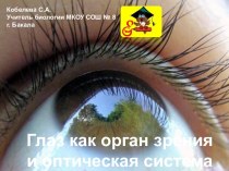 Глаз как орган зрения и оптическая система