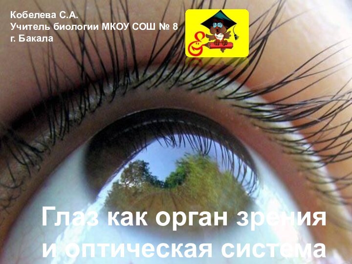 Глаз как орган зрения и оптическая системаКобелева С.А.Учитель биологии МКОУ СОШ № 8 г. Бакала