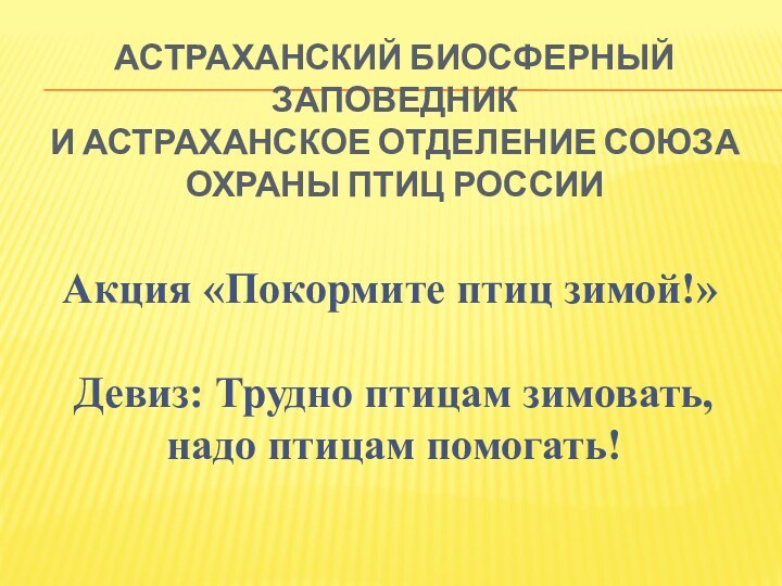 Астраханский биосферный заповедник и Астраханское отделение Союза охраны птиц России Акция «Покормите