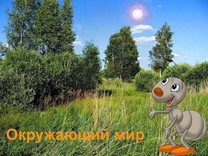 Окружающий мир