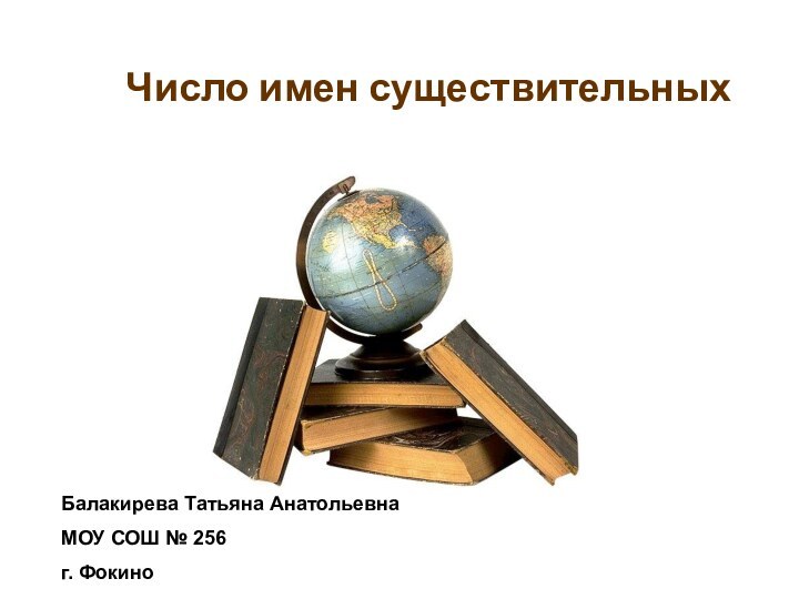 Число имен существительныхБалакирева Татьяна АнатольевнаМОУ СОШ № 256г. Фокино