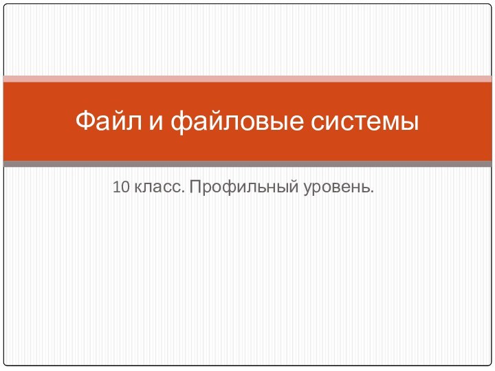 10 класс. Профильный уровень.Файл и файловые системы