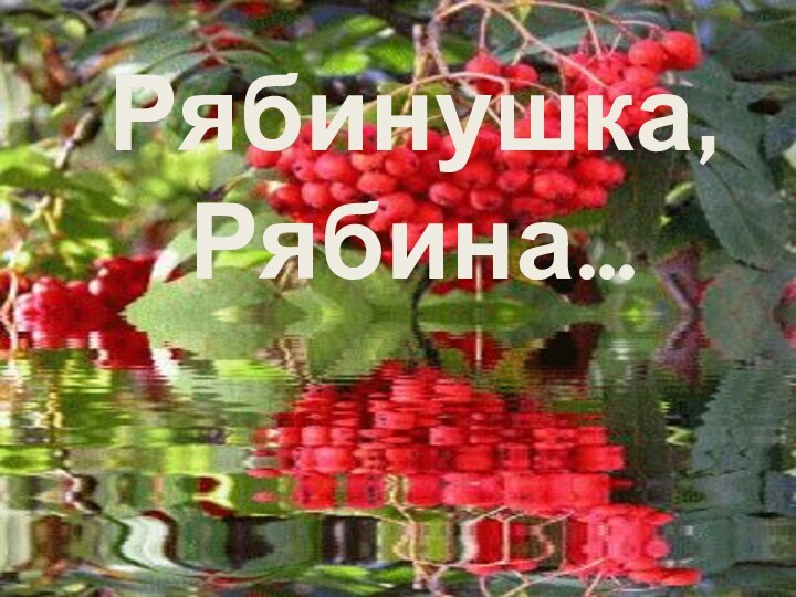 Рябинушка, Рябина…