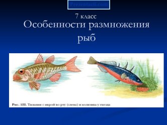 ОСОБЕННОСТИ РАЗМНОЖЕНИЯ РЫБ