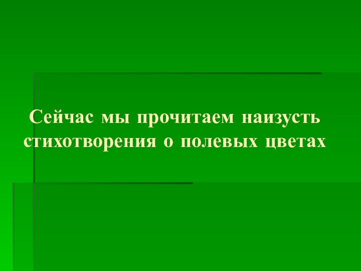 Сейчас мы прочитаем наизусть стихотворения о полевых цветах