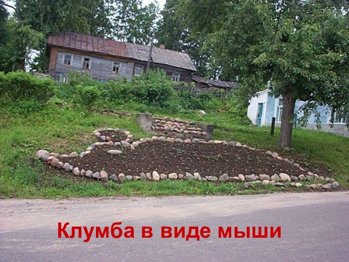 Клумба в виде мыши