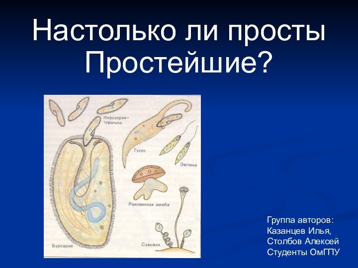 Настолько ли просты Простейшие?Группа авторов: Казанцев Илья,Столбов АлексейСтуденты ОмГПУ