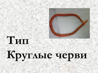 Тип Круглые черви