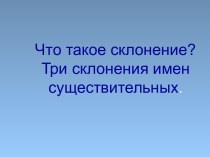 Что такое склонение? Три склонения имен существительных