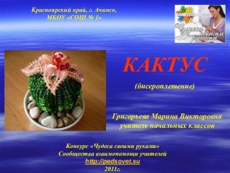 Кактус (бисероплетение)