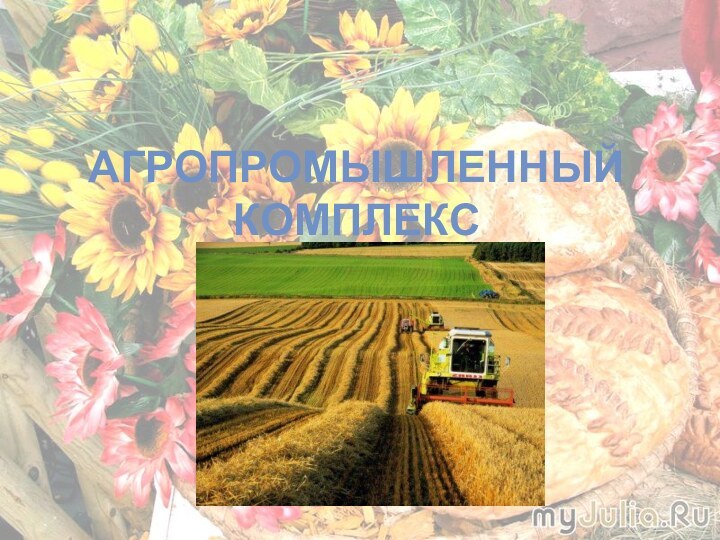 Агропромышленный комплекс