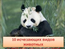 10 исчезающих животных