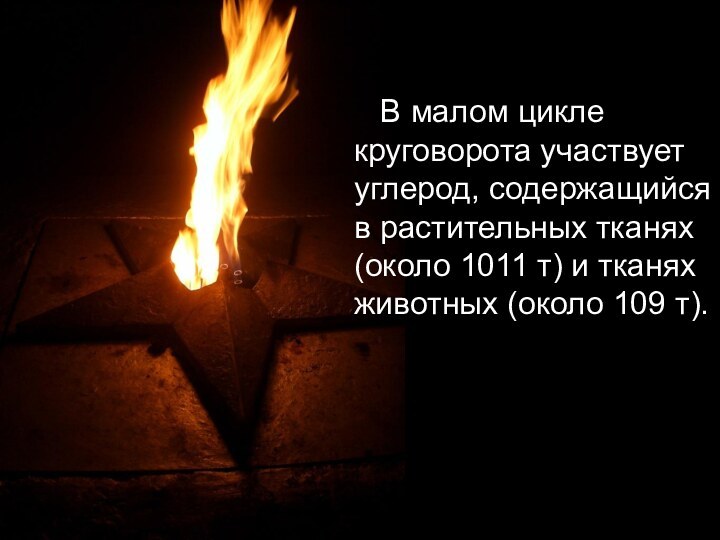 В малом цикле круговорота участвует углерод, содержащийся в растительных