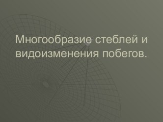 Многообразие стеблей и видоизменения побегов