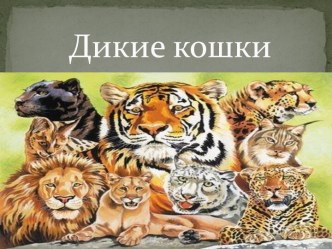 Дикие кошки