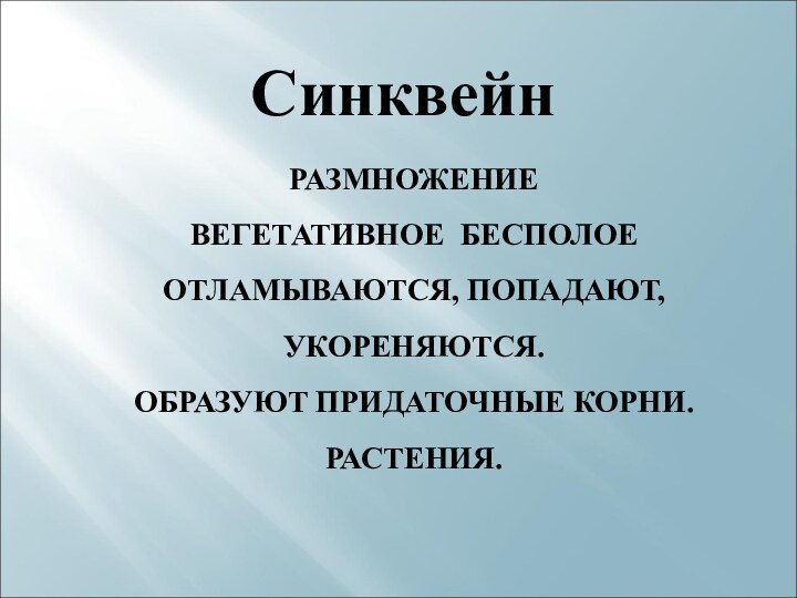 Синквейн РАЗМНОЖЕНИЕ ВЕГЕТАТИВНОЕ БЕСПОЛОЕ ОТЛАМЫВАЮТСЯ, ПОПАДАЮТ,  УКОРЕНЯЮТСЯ.ОБРАЗУЮТ ПРИДАТОЧНЫЕ КОРНИ. РАСТЕНИЯ.