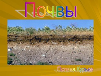 Почвы