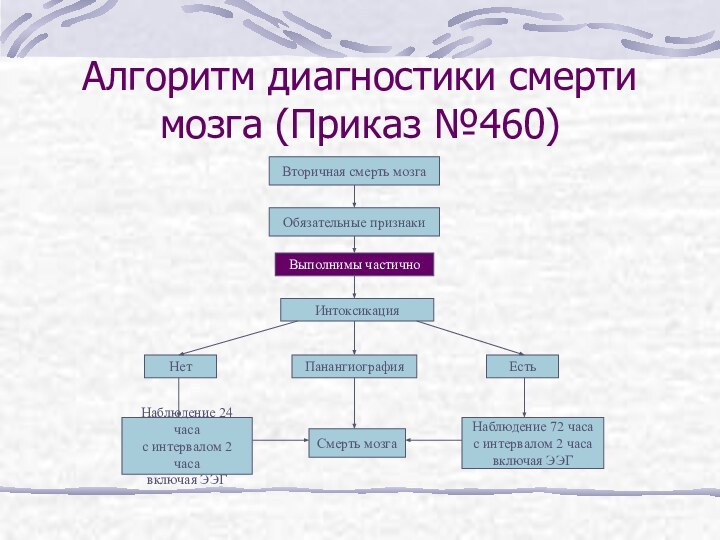 Алгоритм диагностики смерти мозга (Приказ №460)Вторичная смерть мозгаОбязательные признакиВыполнимы частичноИнтоксикацияЕстьНетНаблюдение 24 часас