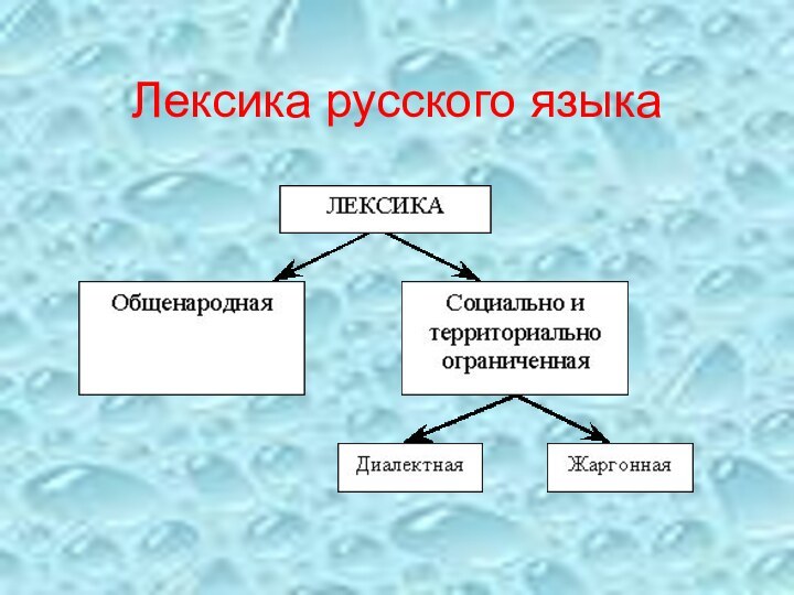 Лексика русского языка